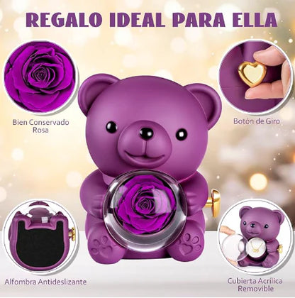 Osito con Collar Personalizado